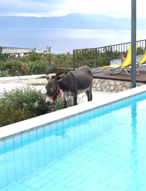  Villa Suzi Donkey farm with seaview  Смрика
